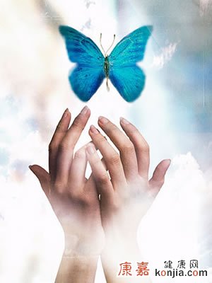 大学生电子档案查询